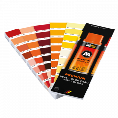 Nuancier Premium Real Color Card 275 couleurs